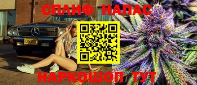 стаф Кинель