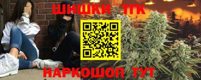 стаф Кинель