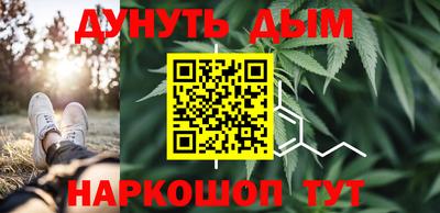 дживик Кингисепп