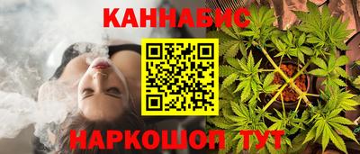 стаф Кинель