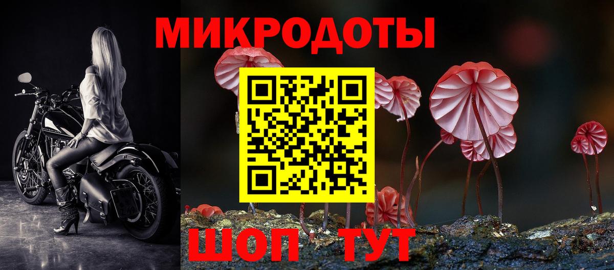Псилоцибиновые грибы Cubensis  Вход с VPN  Красноярск 